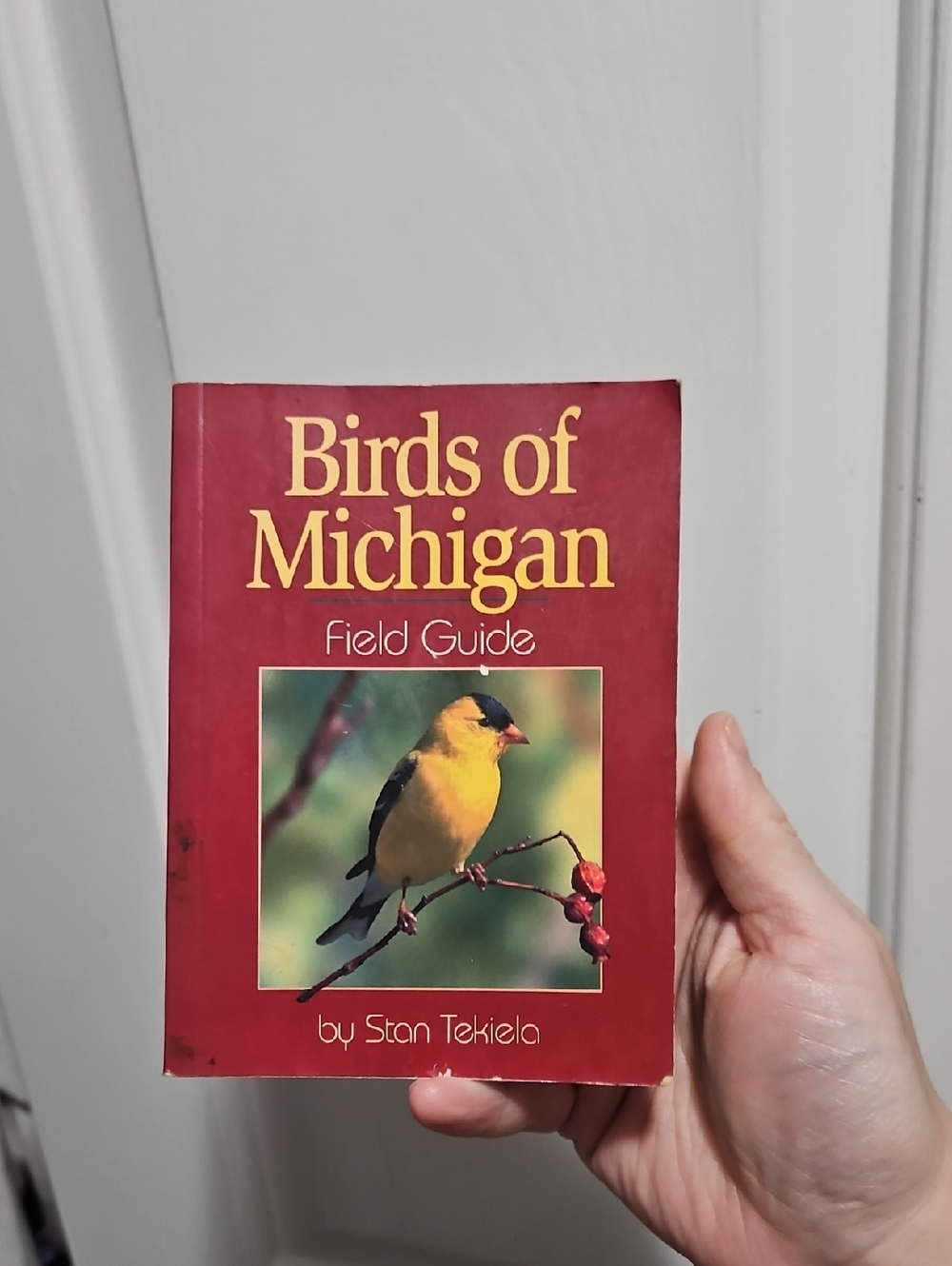 1999 Editon  Birds Of Michigan Field Guide